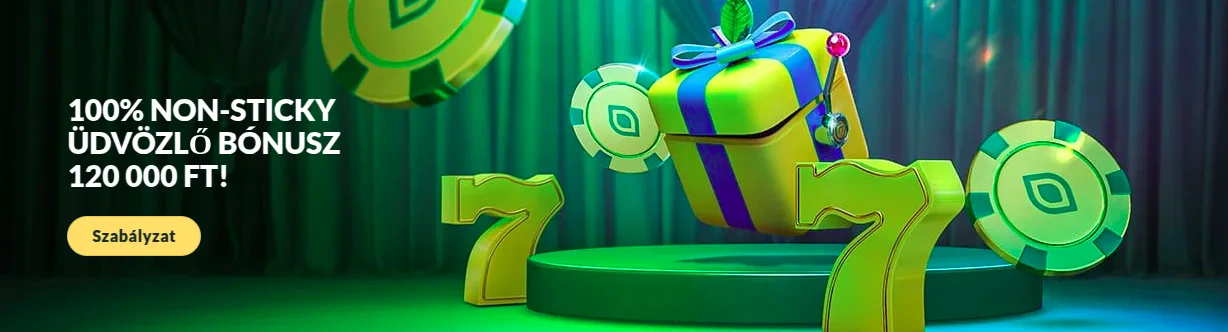 Promotional Banner